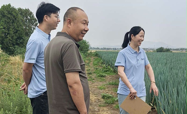 张云霞1