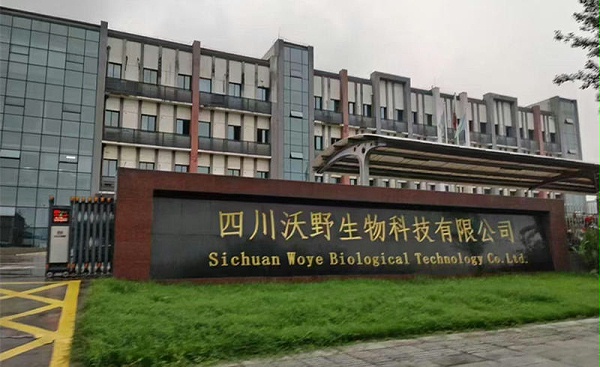 葱满满参观中迅4