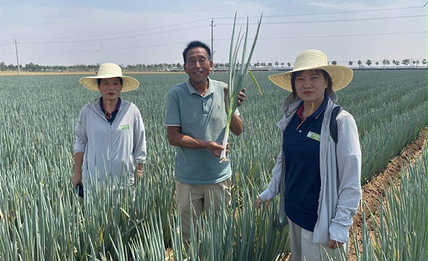 漯河薛大哥地块
