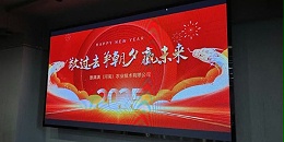 敬过去,争朝夕,赢未来,葱满满2024年终总结暨2025年展望