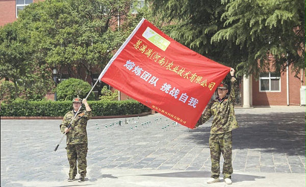 葱满满拓展训练1
