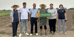 孙维怡：唯心而行，细微之处彰显专业