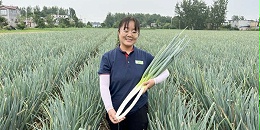 孙建萍：在萍水相逢中助您喜获丰收