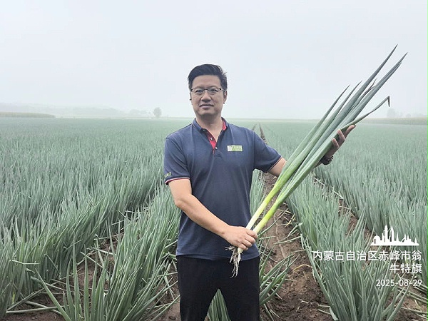 美白一号赤峰实拍