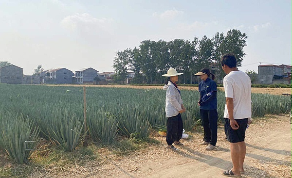 夏丹丹6