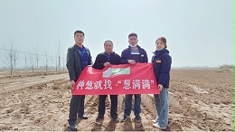 河北冀州400亩钢葱移栽合作案例