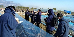 学思践悟提能力_葱满满技术团队到大葱种植基地实地学习