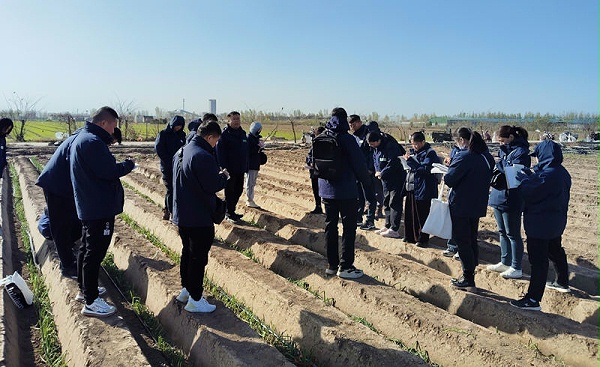 葱满满基地学习