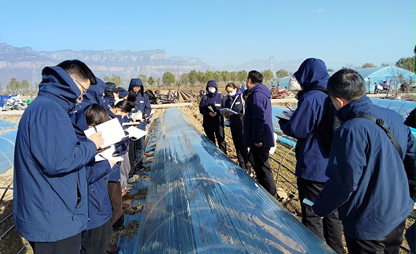 葱满满基地学习2