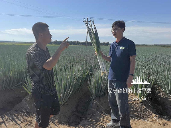 辽宁建平走访
