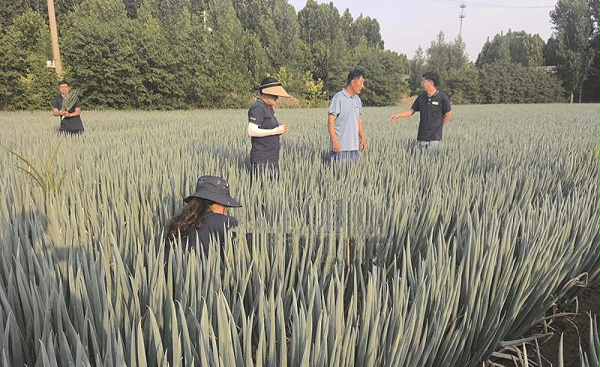 李方芳4
