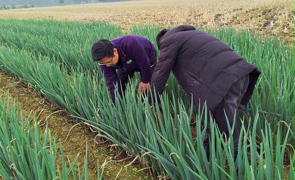 余建华山东2 余建华山东2