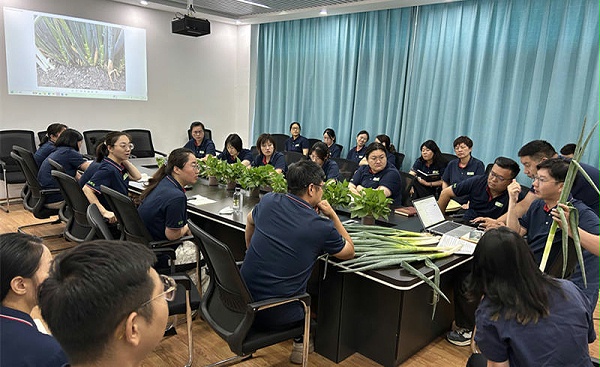 交流会1