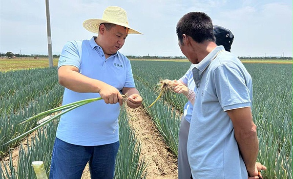 葱满满与河北葱友合影