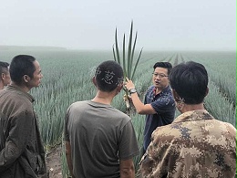 脚下有泥   心中有光  2