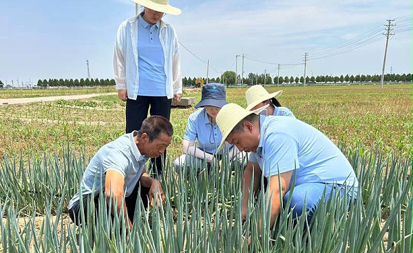 李高朝11