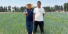 李高朝：与葱友共谱大葱丰收新篇章