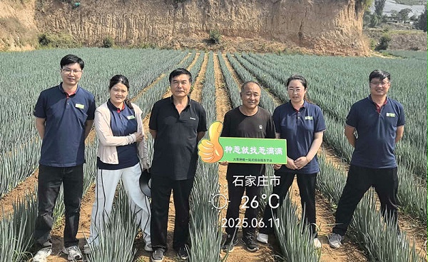 李亚杰5