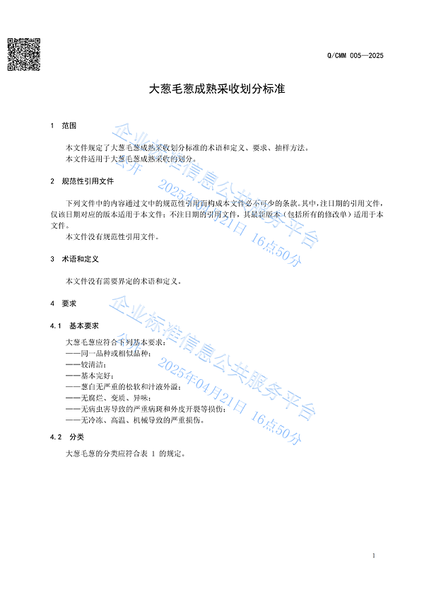 大葱毛葱成熟采收划分标准_03