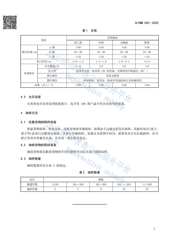 大葱毛葱成熟采收划分标准_04